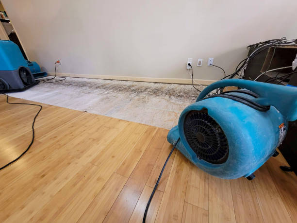 Professional Basement Flood Cleanup technician working in Bethany, WV